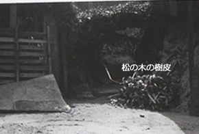 アサイもくめんのなりたち03